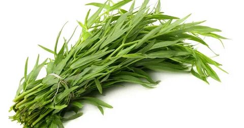 تصویر 1 از خرید تضمینی سبزی ترخون خشک با کیفیت صادراتی